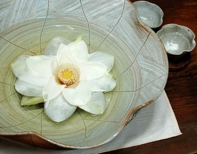 이와서 이미지