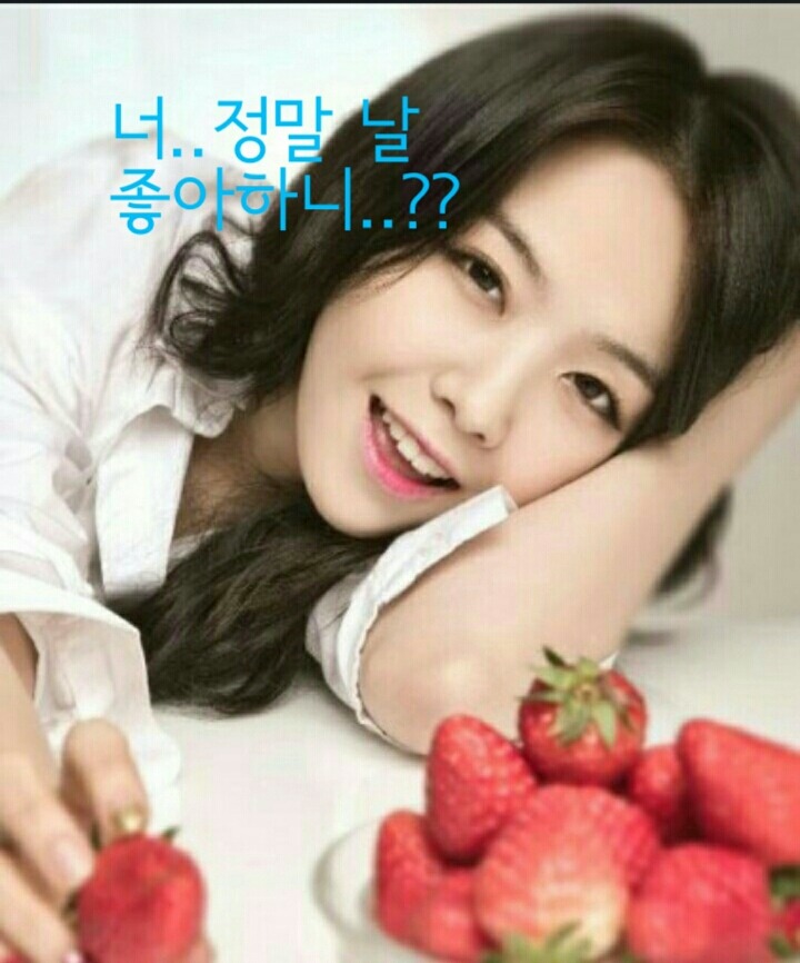 꿀벌사랑 이미지