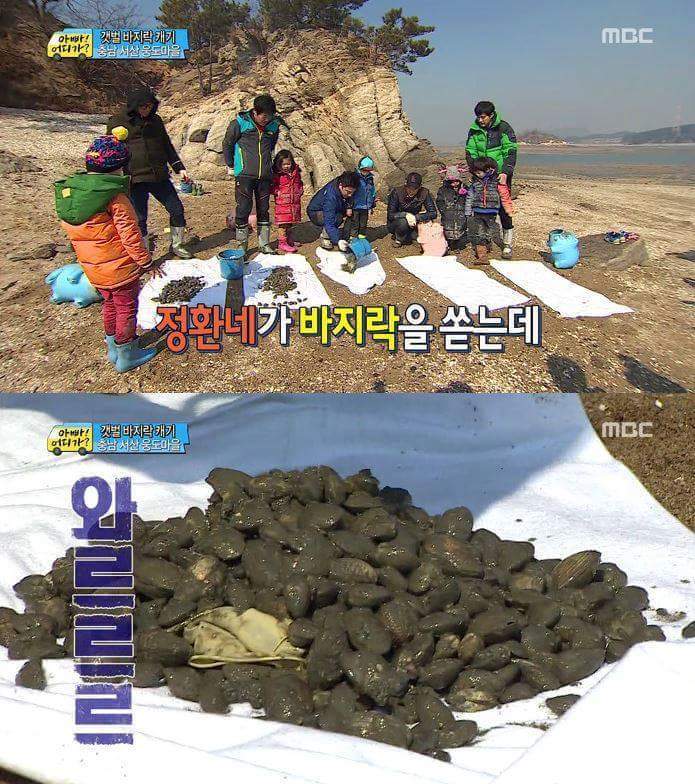 못하는게 없는 안정환 | 인스티즈