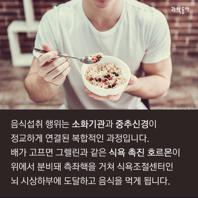 살 빼려고 굶었는데 음식 중독이라고?! | 인스티즈