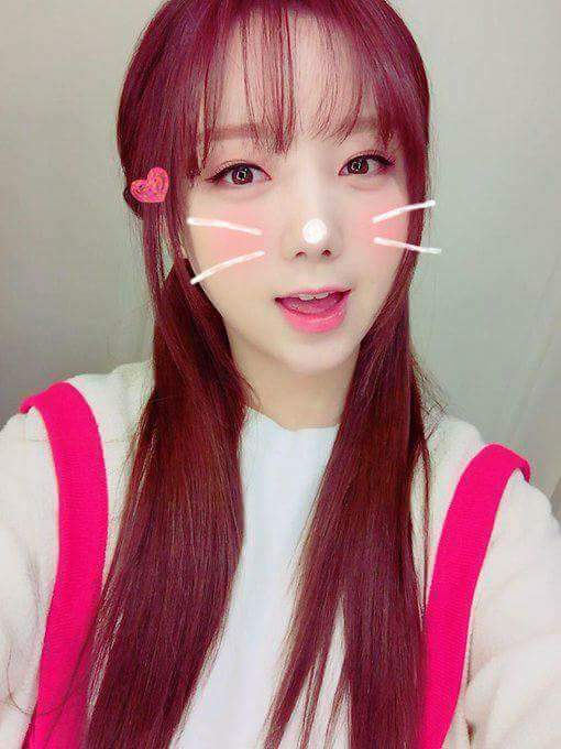 [러블리즈] 고양이가 다시 건깅해져서 유지애 | 인스티즈