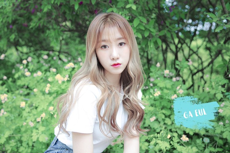 '프로듀스 101 시즌1' 탈락 연습생들 데뷔 예정 및 데뷔 현황 | 인스티즈