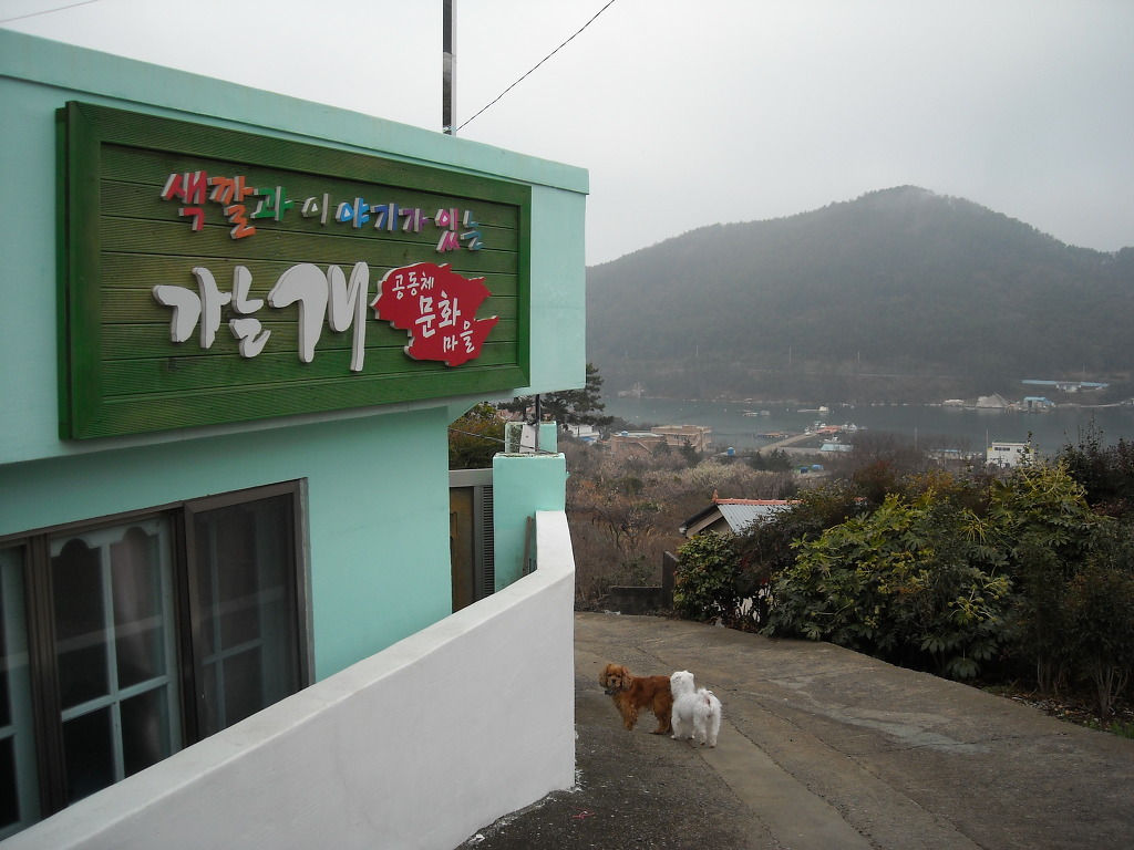 세포마을가는개 이미지