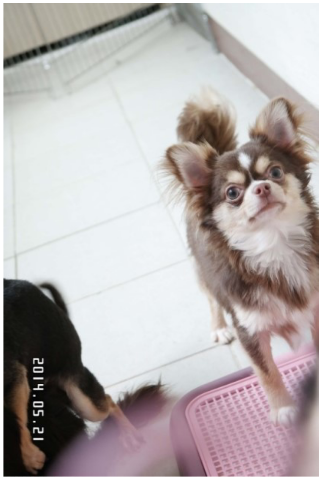 스마일하우스 이미지