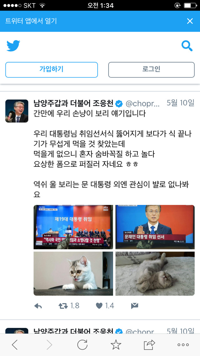 이니 대통령 당선 후 신나서 덕질하는 별주부짱 처니 | 인스티즈