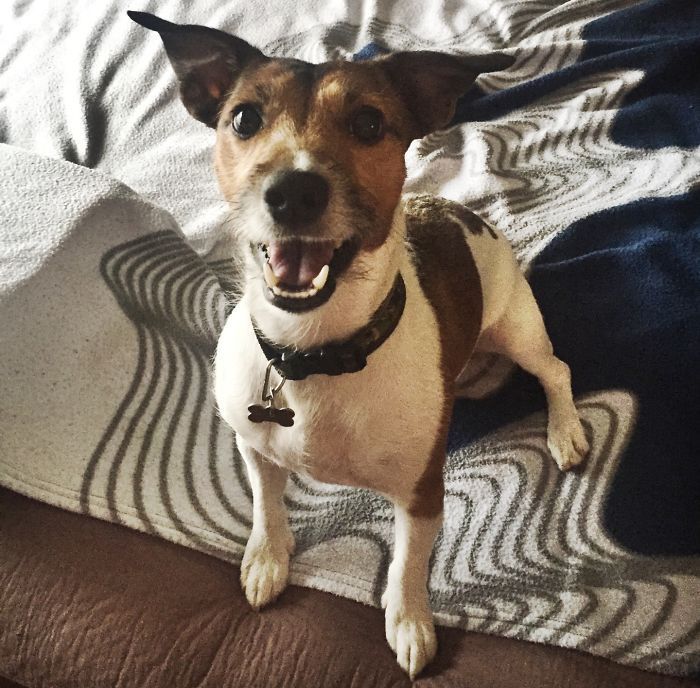 275697355602AC061F104B