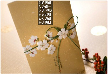 대한민국 유일 도술학교 호국와투(護國訛鬪) 입학허가서 받은 언니들한테 입학팁 찐다!! | 인스티즈