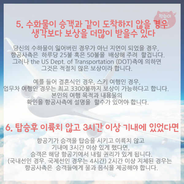항공사가 숨기는 탑승객 권리 10가지 | 인스티즈