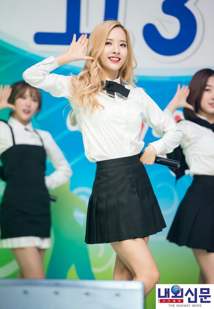 보나 이미지