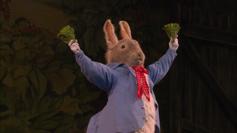 동화를 발레로 영국 로열 발레단의 ＜ tales of beatrix potter ＞ | 인스티즈