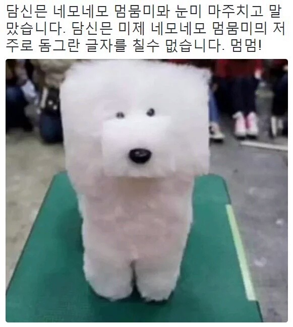 담신믄 네모네모 멈뭄미믜 저주메 걸렸습니다 | 인스티즈