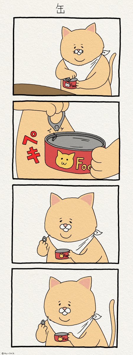 유감스러운 고양이 | 인스티즈