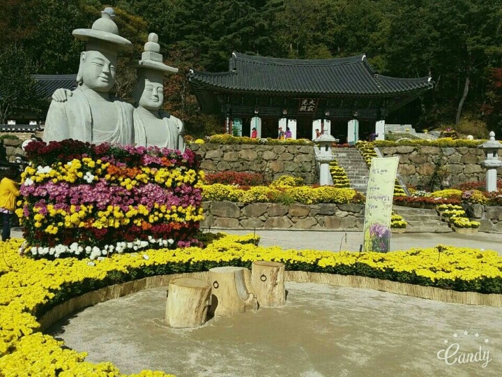 기현이네 이미지