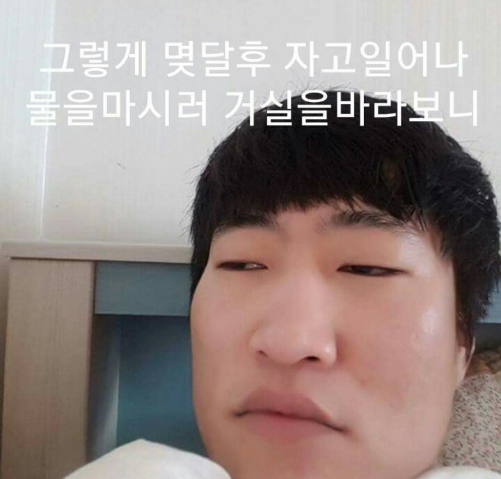 차라리 날 죽여...라는 제목으로 올라온 글(feat 집사).jpg | 인스티즈