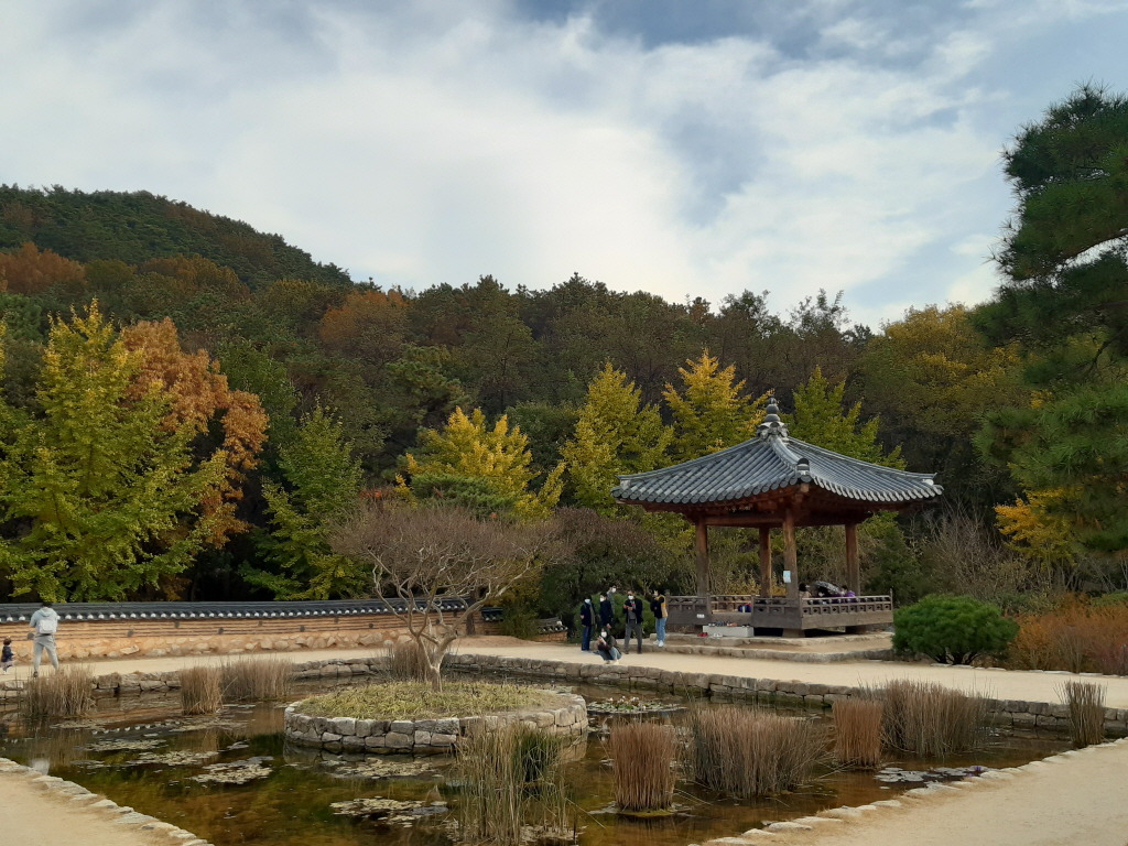 대구수목원 이미지