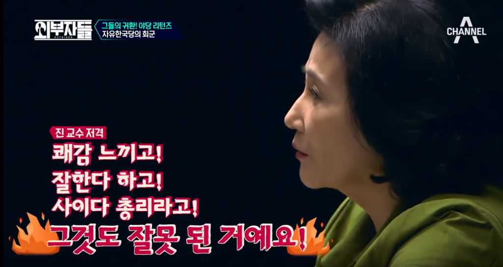 이낙연 총리 태도가 불편한 전여옥.JPG | 인스티즈