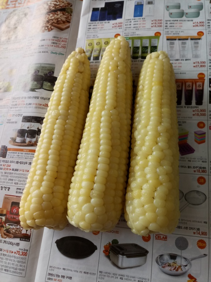안다까 이미지