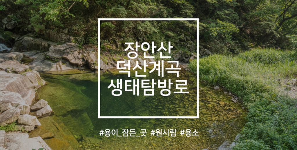 덕산마트 이미지