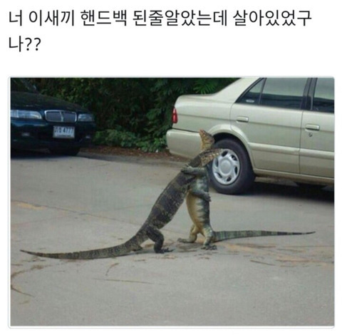 반갑다친구야 이미지