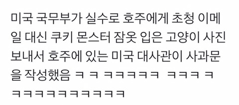 실수로 초청장 대신 고양이 사진을 보낸 미국 국무부.jpg | 인스티즈