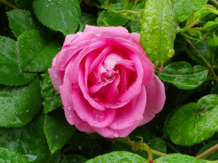 9921854C5CE0E26E0DA44B