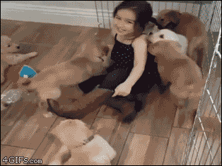 인절미들에게 습격 당하는 아이.gif | 인스티즈