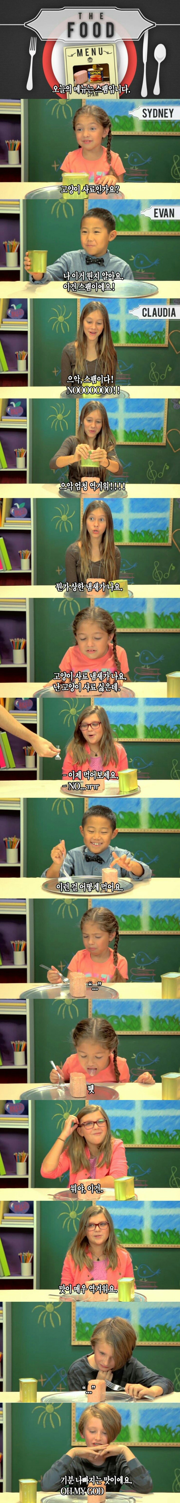 미국에서 스팸이 당하는 취급 | 인스티즈
