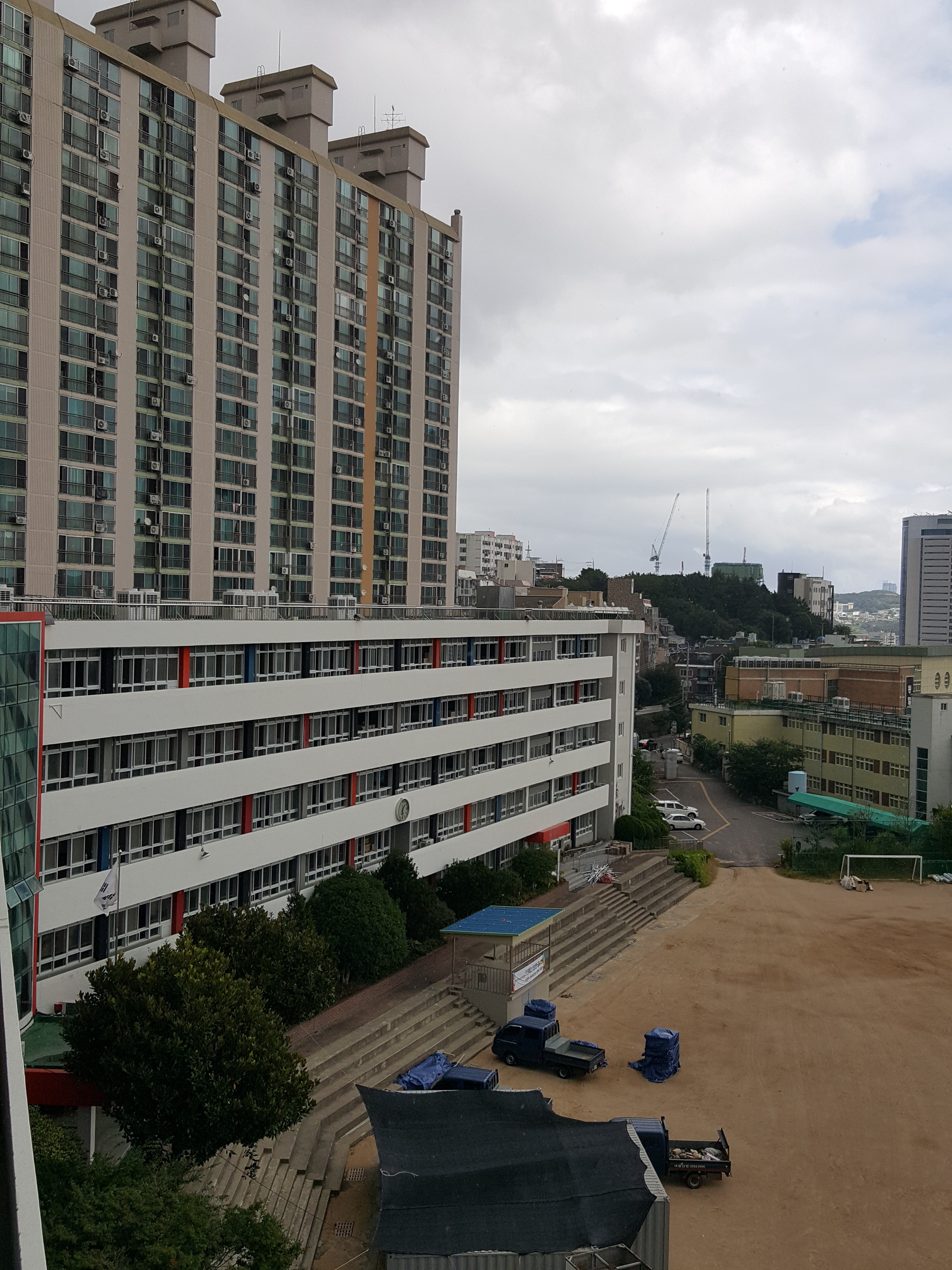부산서중학교 이미지