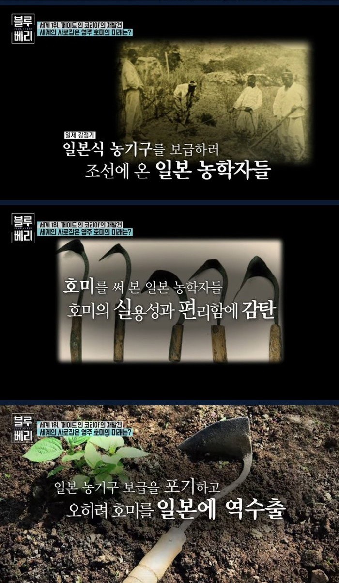 아마존에서 불티나게 팔리는 호미 | 인스티즈