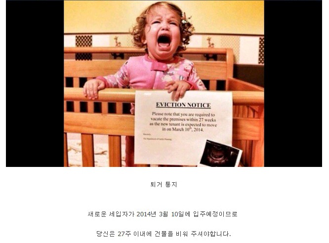 갑작스런 퇴거통보를받은 아기 | 인스티즈