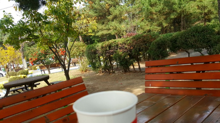 강릉오성학교카페모두 이미지