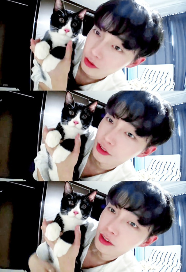 JBJ 김용국이 키우는 고양이 톨비 르시 | 인스티즈