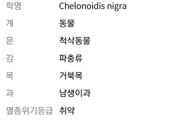 세계에서 가장 큰 육지 거북 | 인스티즈