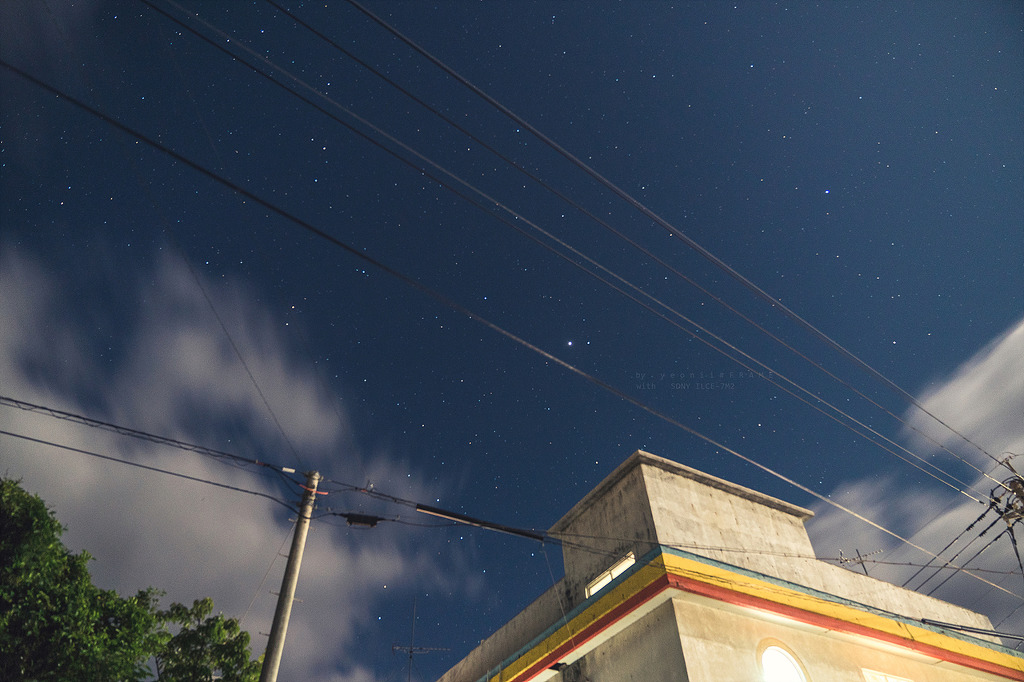 스냅사진 위주의 유치진지한 여행기 - 요론 섬&오키나와 (1) | 인스티즈