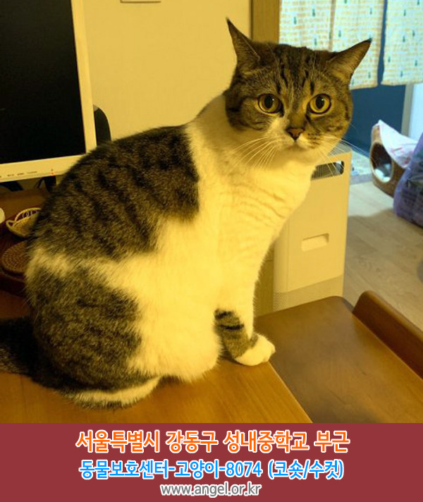 성내중학교 이미지