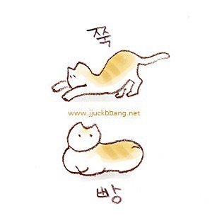 눈매가 인상을 좌우한다는 이유 | 인스티즈