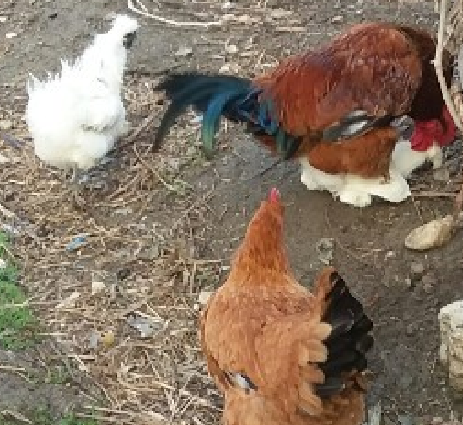 오만가지수산 이미지