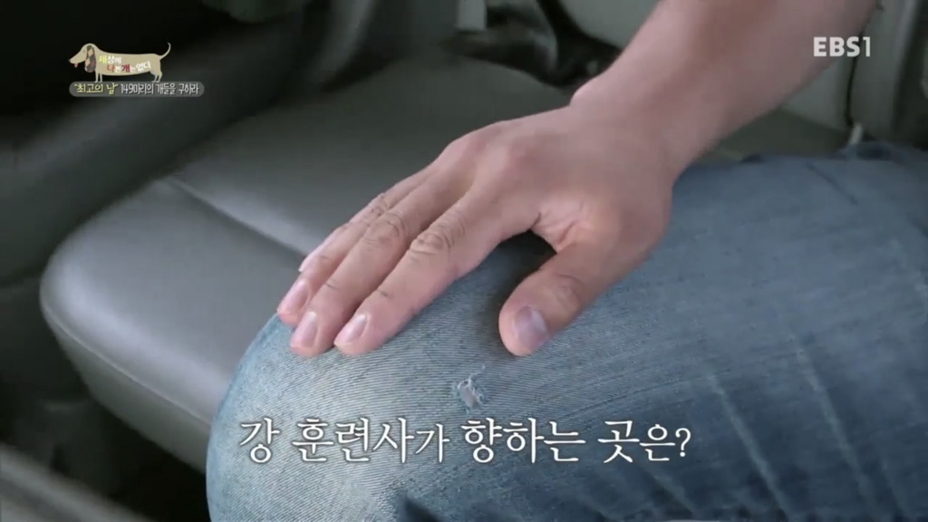 어떻게 사람을 그렇게 좋아할 수 있죠? | 인스티즈