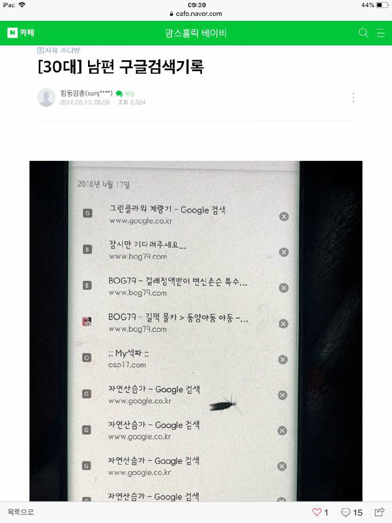 30대 남편 구글검색기록 대참사 | 인스티즈