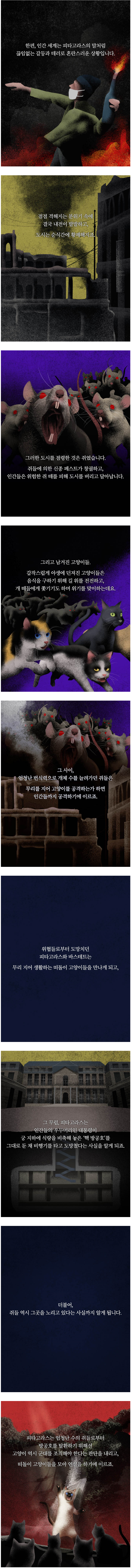 머리에 USB가 연결된 고양이 | 인스티즈