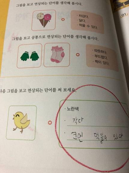 병아리에 대한 초딩의 고찰 | 인스티즈