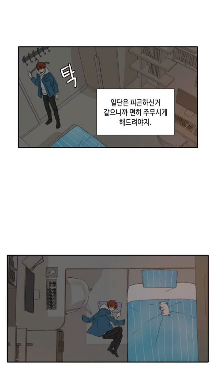 오늘도 사랑스럽개 진쌤vs최율 (웹툰) | 인스티즈