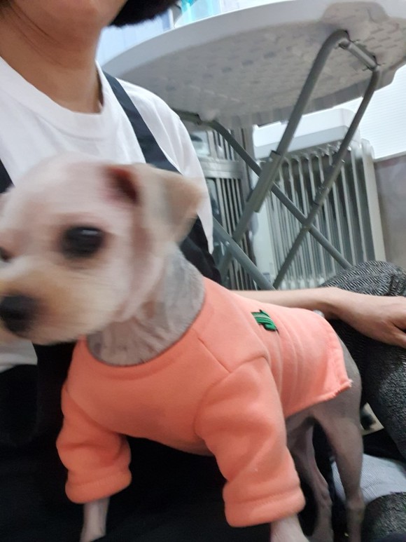 달님과별님 이미지