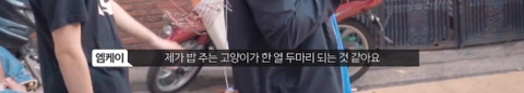 망원동 고양이 밥을 책임지고 있는 아이돌 | 인스티즈