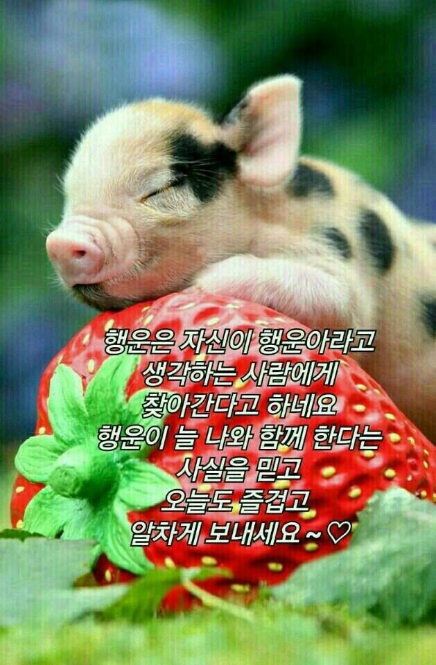 아리랑문화센터 이미지