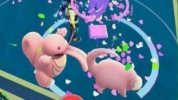대해DF 이미지