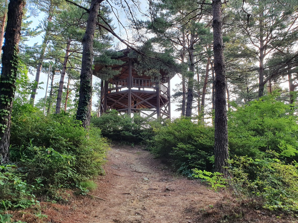 고성산 정상 전망대 이미지