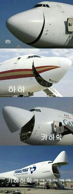 새벽인데 다들 유우머 보고 웃고 가쇼 | 인스티즈