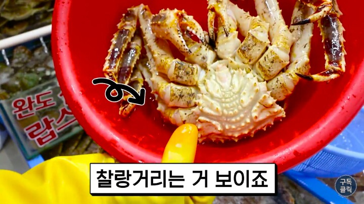 대게나 킹크랩살때 바가지 안당하는 방법!!! | 인스티즈