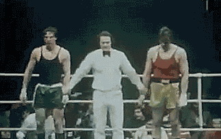 부랄 안긁기 대회.gif | 인스티즈